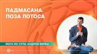 Падмасана. Поза лотоса для начинающих.