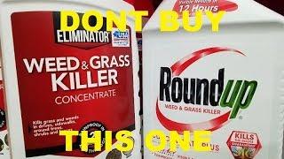 ROUND UP VERSUS WALMART ELIMINATOR WEED KILL REVIEW