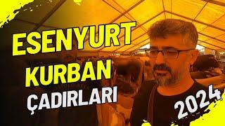 Esenyurt Kurban Çadırları | 2024 Kurbanlık Fiyatları