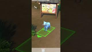 This Sims 4 Horse Ranch feature is CRAZY! ##sims4horses #thesims4horseranch