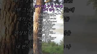 따뜻한 말 삶의 지혜 감성적인 글귀를 통해  지친 마음에 작은 위로가 되어드리고자 합니다