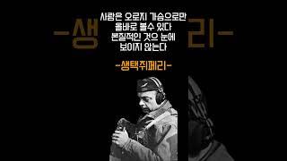 생텍쥐페리의 지혜의 명언 #쇼츠 #shorts