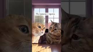 Розмови про Каву між Кавоманом та Фелінолікарем! feline friends engage in witty coffee conversations