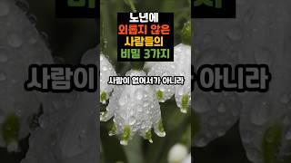 노년에 외롭지 않은 사람들의 비밀 3가지#인생조언 #삶의지혜 #명언모음