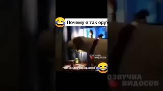 Почему я так ору? 