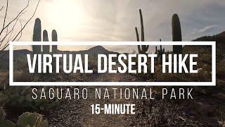 Virtual Hike through Saguaro National Park