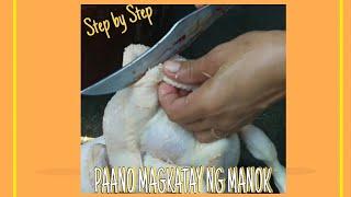 PAANO MAGKATAY NG MANOK | Step by Step | PucyutanOfficial