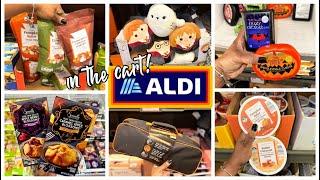 ALDI FINDS THIS WEEK | ALDI FOOD SHOPPING | ALDI FALL 2024 | ALDI SHOP WITH ME