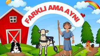 Farklı Ama Aynı || Çocuk Masalları || Uyku Hikayeleri Dinle  || Çizgi Film İzle