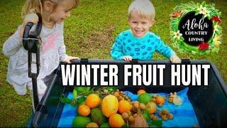 Hawaii Fruit Hunt With Our Kids. Fun Memories Of Our Farm In Kapoho, HI.  (Filmed January, 2017).