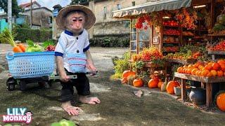 Smart monkey Lily helps dad go to the market to cook lunch