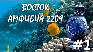 ВОСТОК АМФИБИЯ 2209. Разбираем часы, полируем стрелки//ЧАСТЬ1