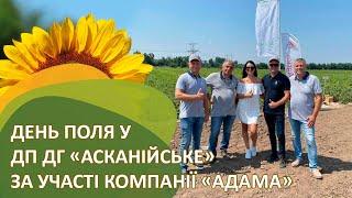 iMarket Agro відвідав День Поля у ДП ДГ «Асканійське» за участі компанії "АДАМА Україна"