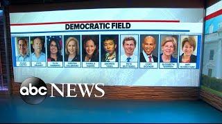 More Democratic candidates announce for 2020