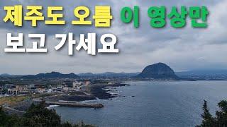 제주도 오름 가기 전 이 영상 보고 가세요ㅡ 제주도 통합본