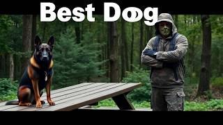 I Raised a Belgian Malinois to be the BEST Guard Dog EVER! | Malinois | Dog Training