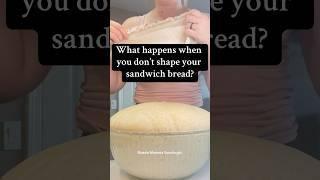 Not shaping my #sourdough sandwich bread #breadmaking #sourdoughbread #shaping #baking