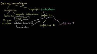 Biologia - Tipos de Respostas Imunológicas (Khan Academy)