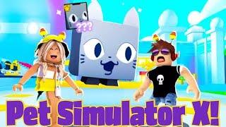 We Trade in PET SIMULATOR X for the FIRST Time!! *New DREAM Pet?!*