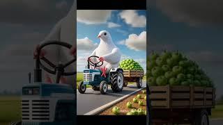 The big pigeon plants an apple tree and brings it in a tractor  #ai #pigeon #apple #tree