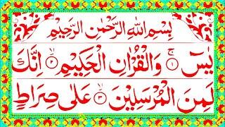 Night Wazifa | 4 Quls । ayatul kursi | Surah Fatiha | Darood Tanjeena