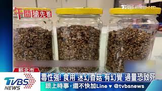 碩士生自製無菌培養室　種「迷幻香菇」遭逮