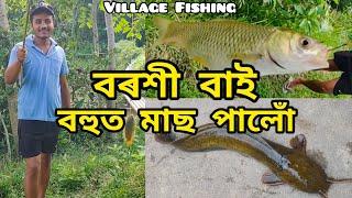 বৰশী বাই বহুত মাছ পালো // Village Fishing // Fish Catching @RINKUDASVLOGS