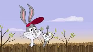 Garden Grow-Off I Wabbit I Boomerang Official