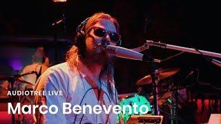 Marco Benevento on Audiotree Live (Full Session)