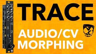 Waveform Scanning & Modulation Morphing // Trace by DivKid & Vostok Instruments