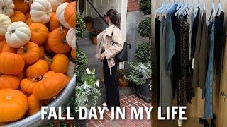 come fall shopping with me, lunch at beacon hill bookstore & more!