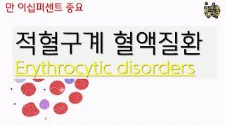 적혈구계 / 혈액질환 / Erythrocyttic disorders / IDA / 악성빈혈/ 지중해빈혈 등