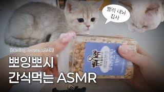 [bboing house asmr] 뽀잉뽀시 간식먹는 ASMR