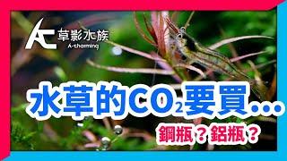 水草缸新手，怎麼買，怎麼裝最省錢？｜AC草影水族