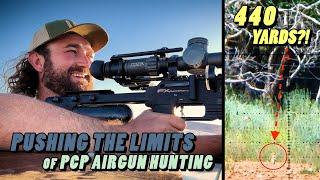 Incredible Long Range Airgun Hunting - Prairie Dog Pest Control with High Power PCPs