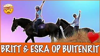 ZWEMMEN MET PAARDEN IN ZEE!!!  | PaardenpraatTV