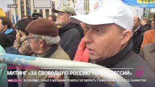 Наши выступили в Москве "За свободную Россию без репрессий"