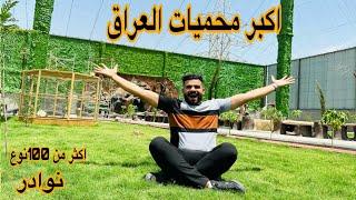 اكبر محميات العراق 