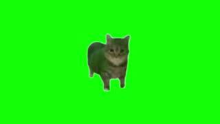 Green Screen Spinning Cat Meme | OIIAIOIIIAI Meme