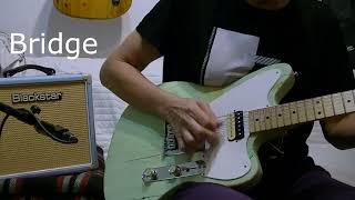 Offset Telecaster (Telemaster)