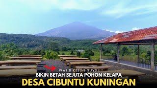 Betah Gak Mau Pulang !! Suasana Sejuta Pohon Kelapa Desa Wisata Cibuntu Kuningan Jawa Barat