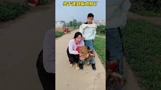 You are so brave that you dare to steal my chicken Mr. Zheng and Du Xiao