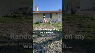WALKING! #walking#walk #family #happy#love #unfiltered #utah #healthy#steps#creepy#spring#travel