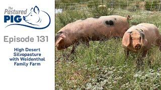 High Desert Silvopasture with Weidenthal Family Farm (Episode 131 - Pastured Pig Podcast)