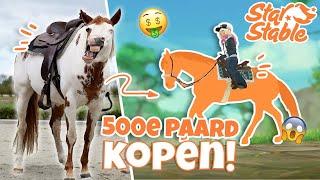 MIJN PAARD BEPAALT WELK PAARD IK MOET KOPEN (de 500e!!!) | SSO Challenge (nl)