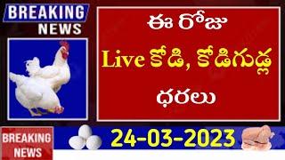 Today Chicken, Eggs Rate In AP and TELANGANA |Chicken rate today|Egg rate today