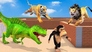 Temple Run Funny Monkey Run Away From Tiger, Lion, Dinosaur | Farm Animals Vs Wild Animls Fight