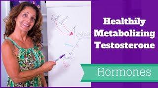 Healthily Metabolizing Testosterone