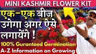 20+4 फूलों घर को बना देंगे कश्मीर जैसा सुंदर || A-Z Information on Growing | MINI KASHMIR FLOWER KIT