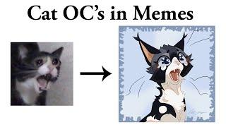 Warrior Cats OC's in MEMES